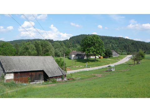 Foto 234
